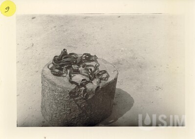 M1991.035.009.jpg; M1991/035:009; ;