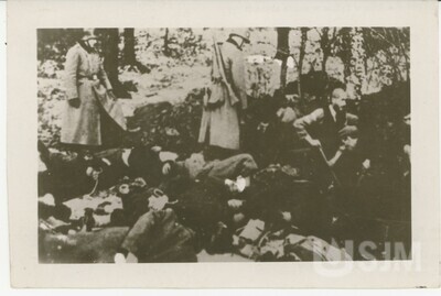 M1995.072.005.jpg; M1995/072:005; ;