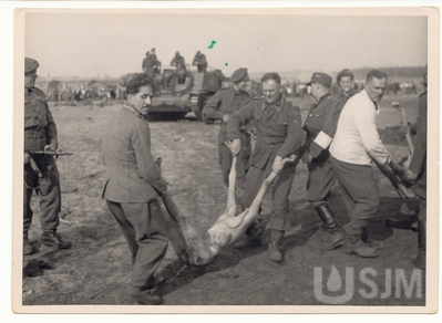 M1996.017.001.jpg; M1996/017:001; ;