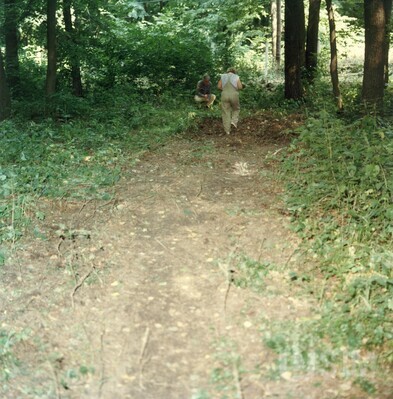 M1996.032.104.jpg; M1996/032:104; ;