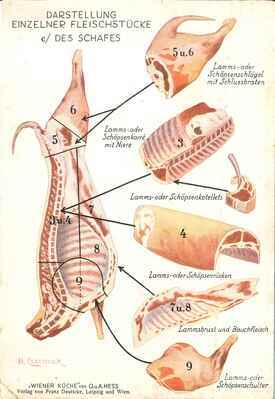 M2016.035a.jpg; M2016/035a; ;