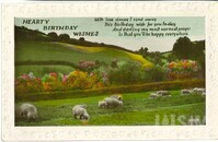 M2018_008_049a.jpg; M2018/008:049; ; postcards