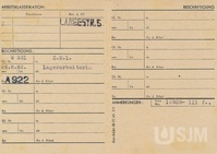 M2019_064_012ii.jpg; M2019/064:012; Ghetto Theresienstadt Arbeitsausweis; work cards